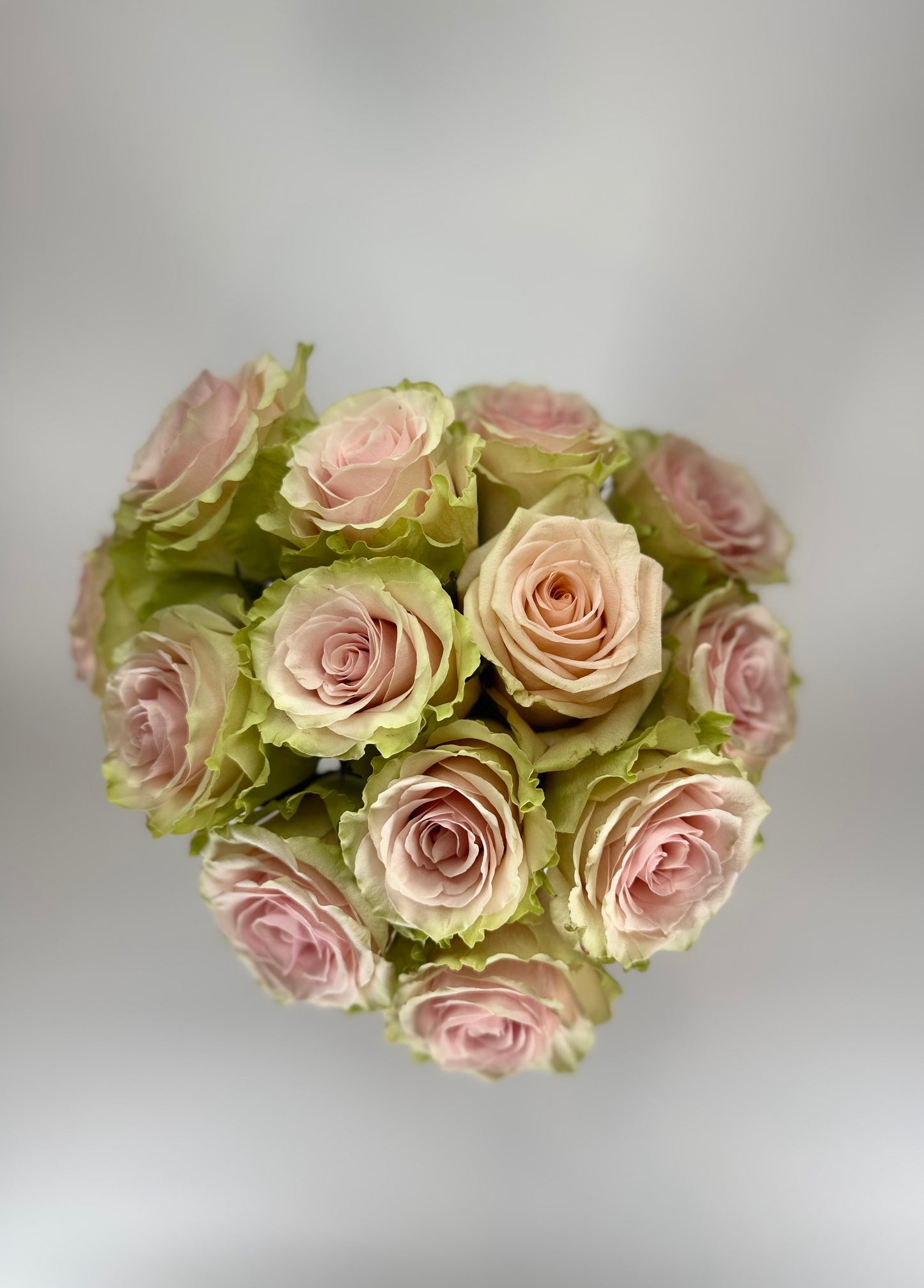 Frutteto Light Pink Rose