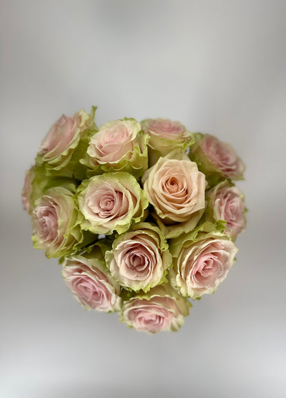 Frutteto Light Pink Rose