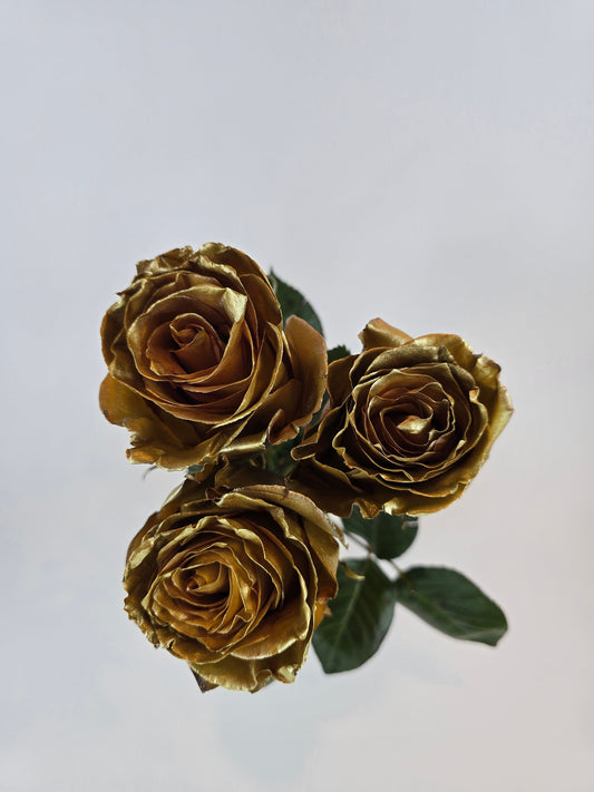 Gold Metallic Tinted Rose