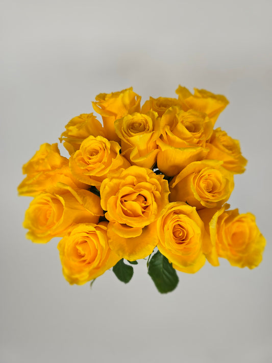 Golden Globe Yellow Rose