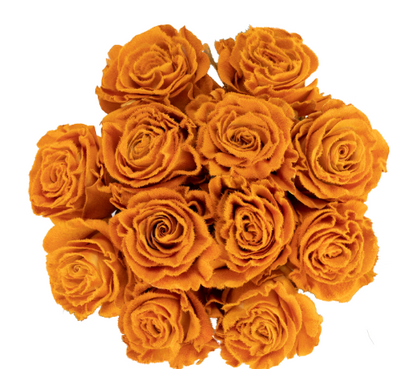 Golden Orange Velvet Tinted Fresh Cut Roses