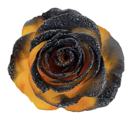 Haunted Spark Tinted Rose