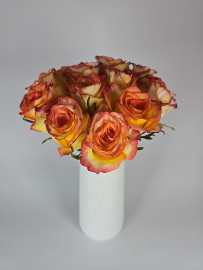 High & Magic Bicolor Rose