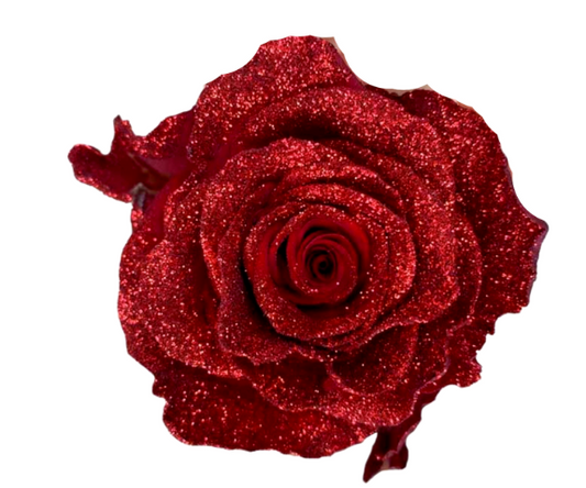 Holiday Sparkle Tinted Roses