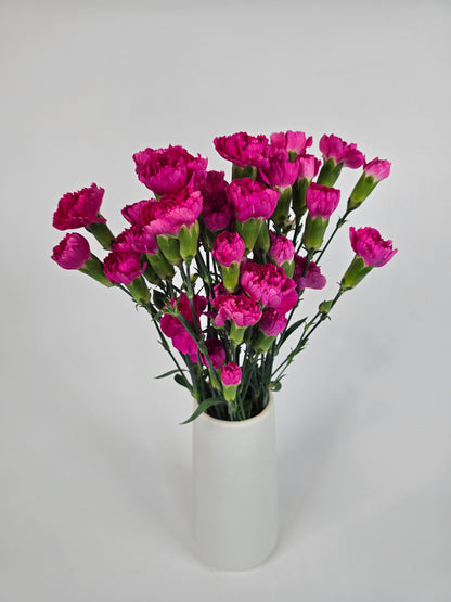 Hot Pink Spray Mini Carnations