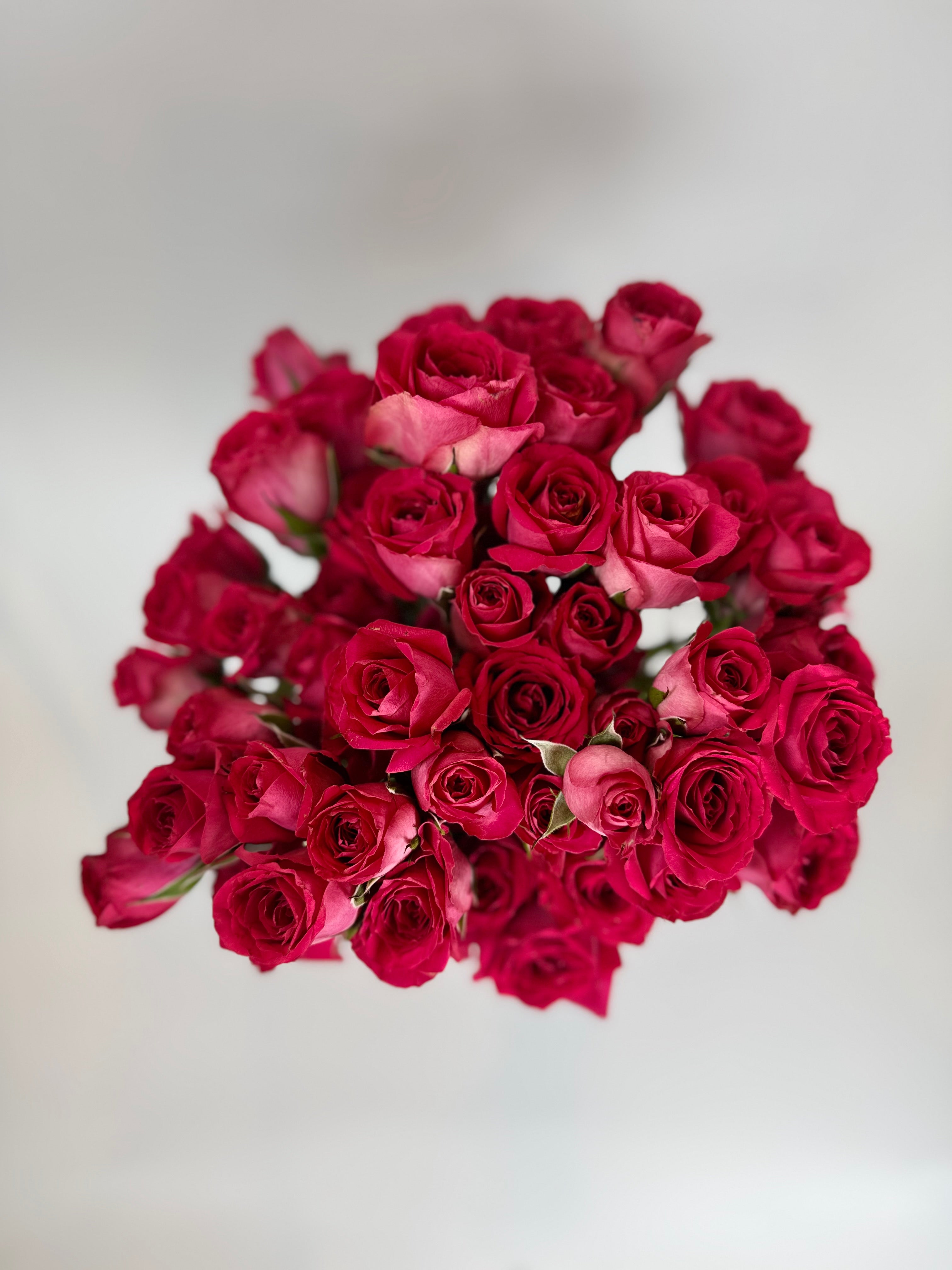 Spray Roses for Bouquets & Events | The Flower Hype