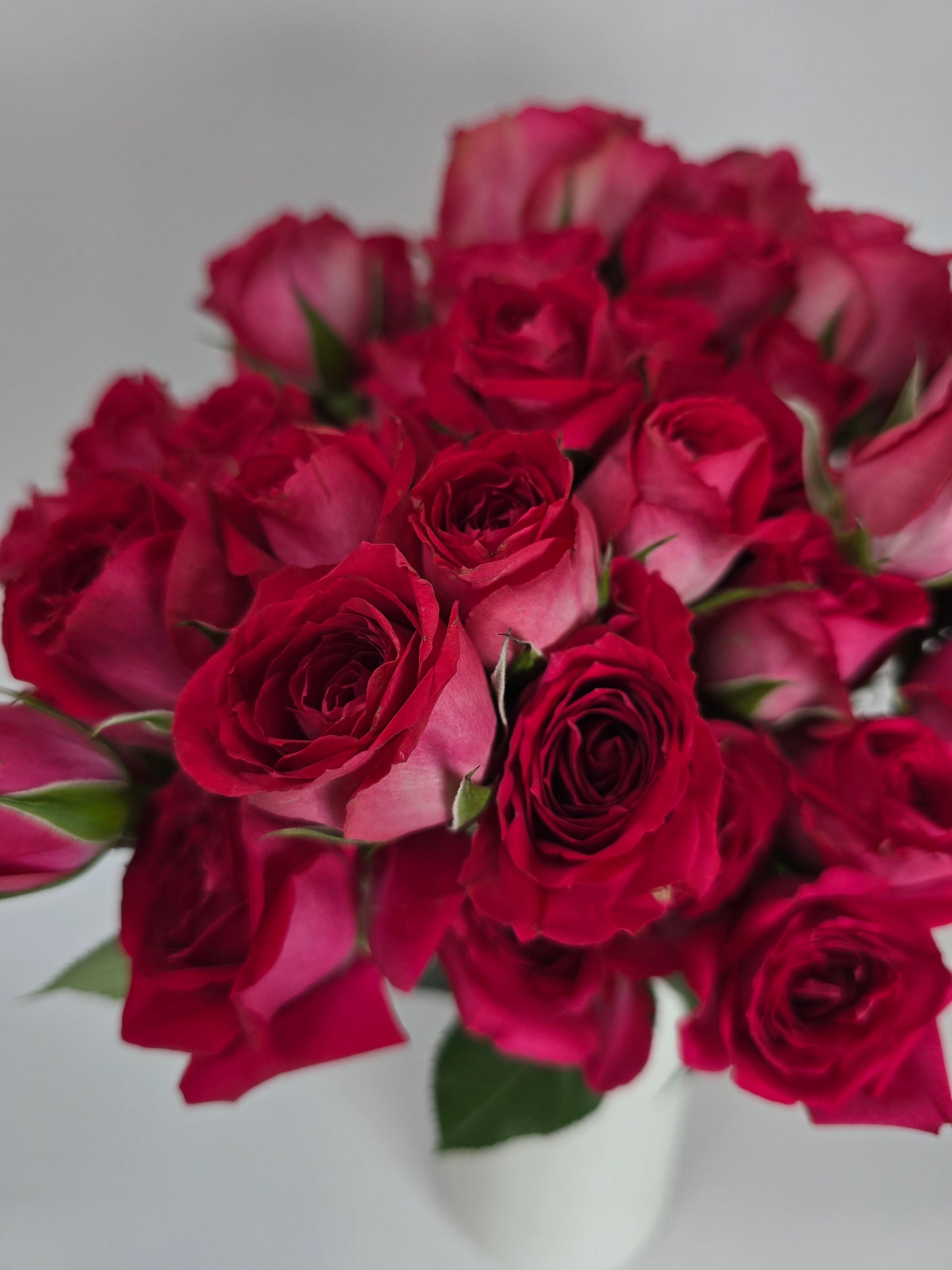Hot Pink Spray Rose