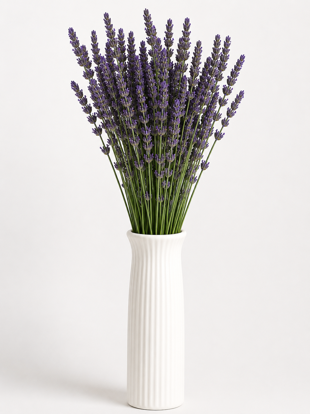 Lavender Fresh Flowers