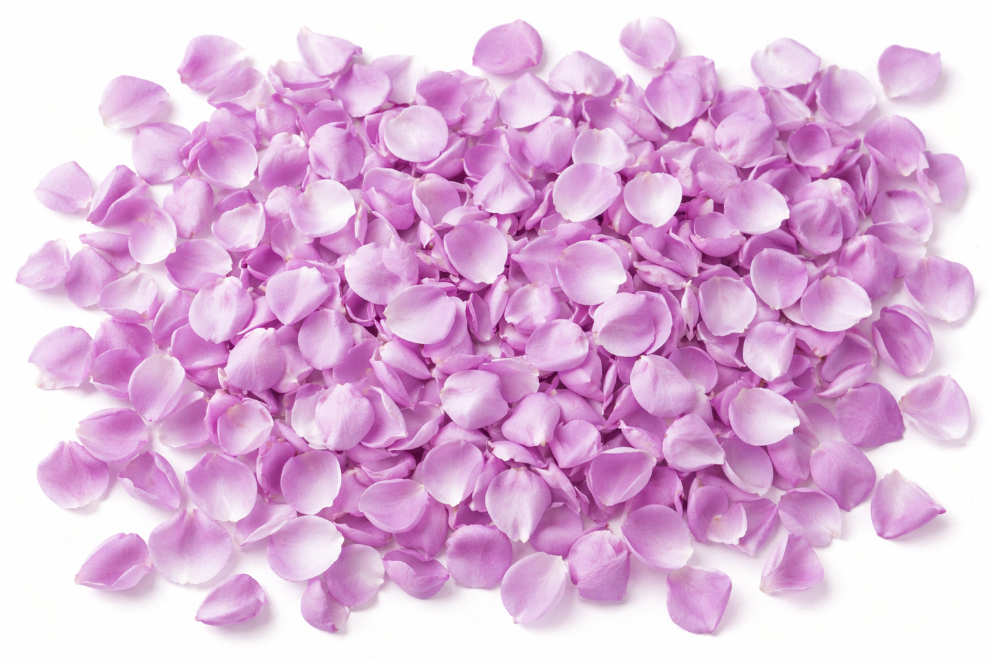 Lavender Fresh Rose Petals