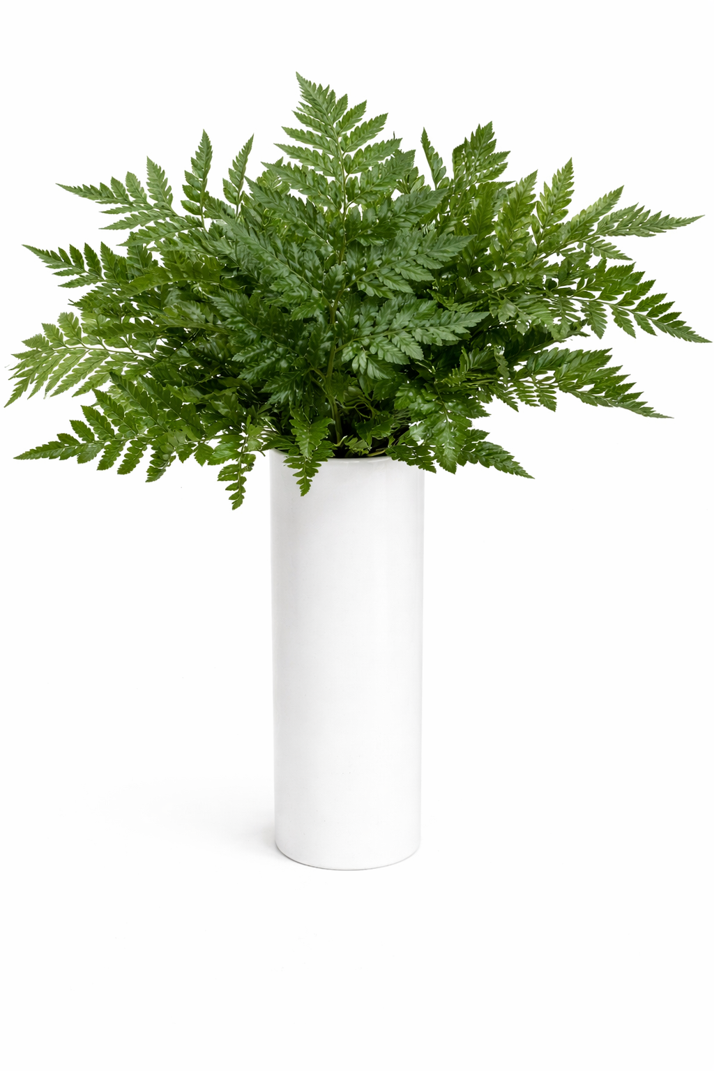 Leather Leaves Greenery