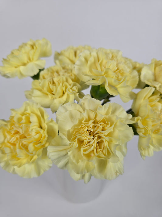 Lemon Yellow Carnations