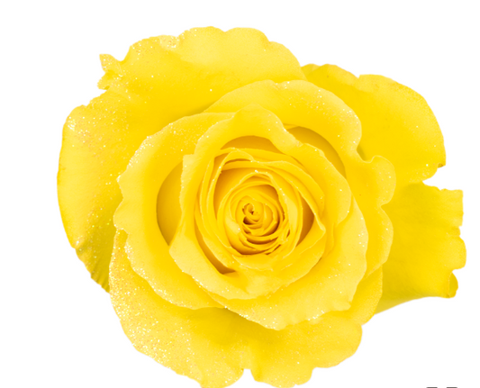 Lemon Yellow Glitter Tinted Roses