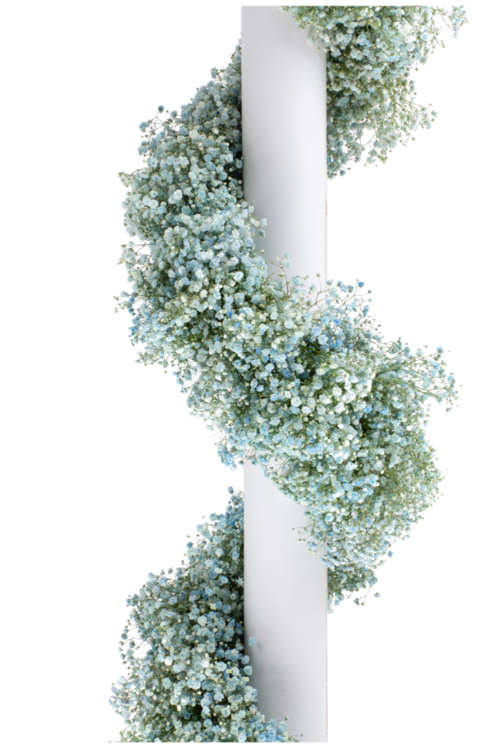Light Blue Tinted Baby's Breath Garland