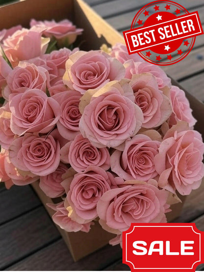 Light Pink Rose Box