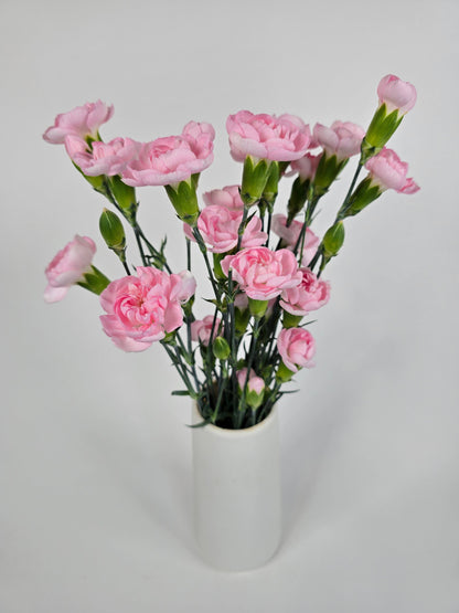 Light Pink Spray Mini Carnations