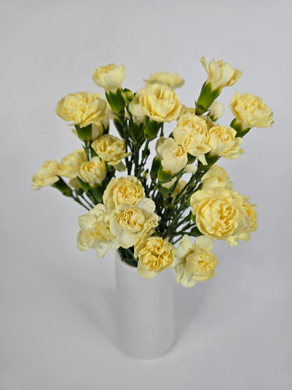 Light Yellow Spray Mini Carnations