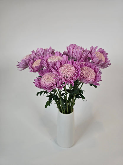 Lilac Cloud Disbud Mums