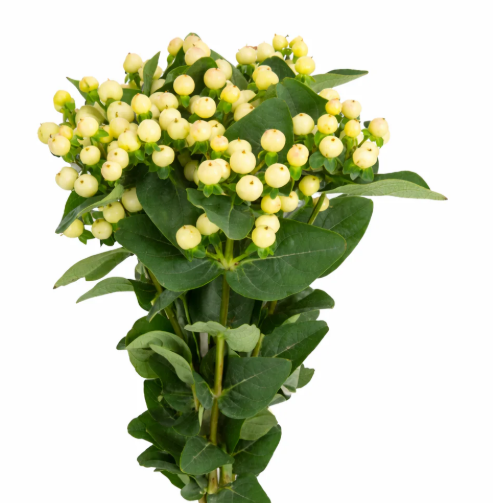 Make your own Flower Bar Combo box
