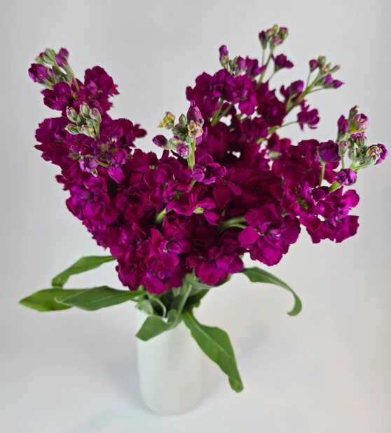 Make your own Flower Bar Combo box