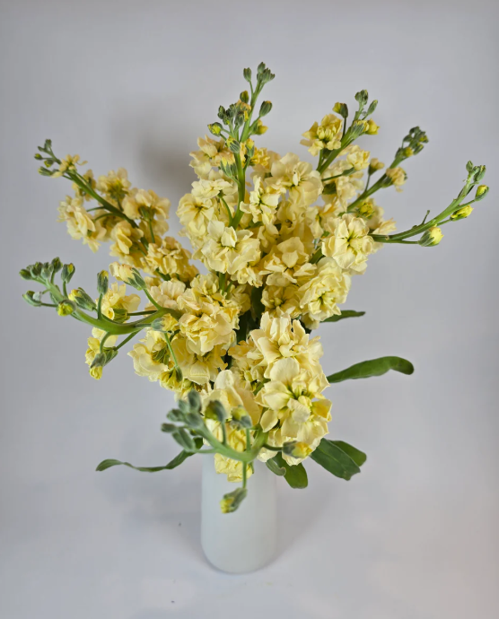 Make your own Flower Bar Combo box