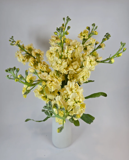 Make your own Flower Bar Combo box