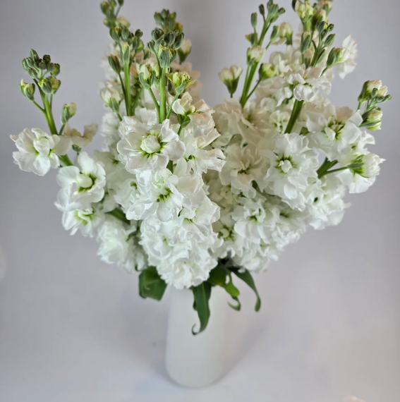 Make your own Flower Bar Combo box