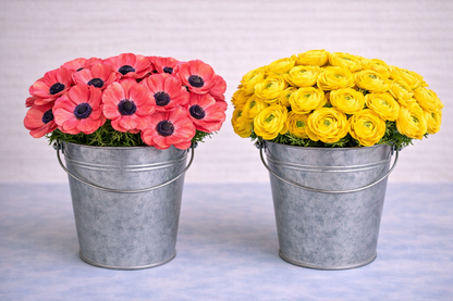 Make your Own Garden Touch Box