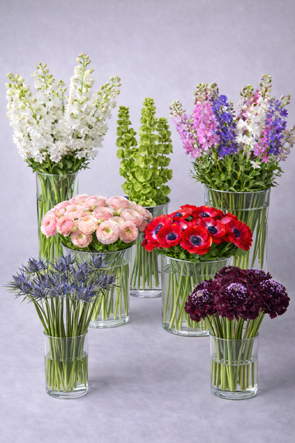 Make your Own Garden Touch Box