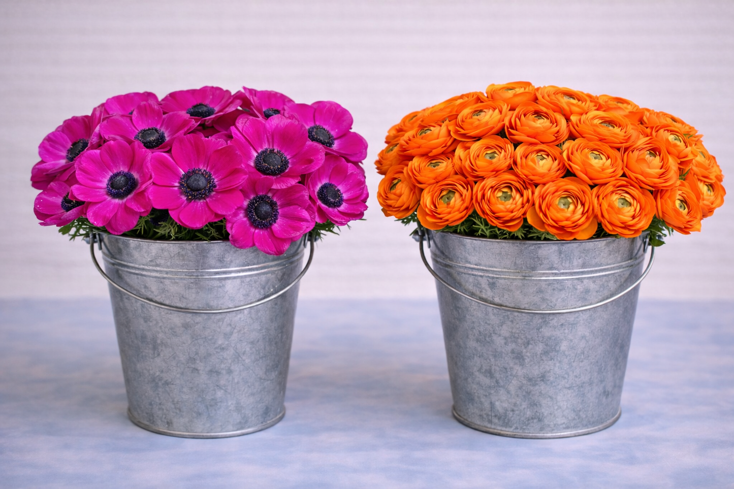 Make your Own Garden Touch Box