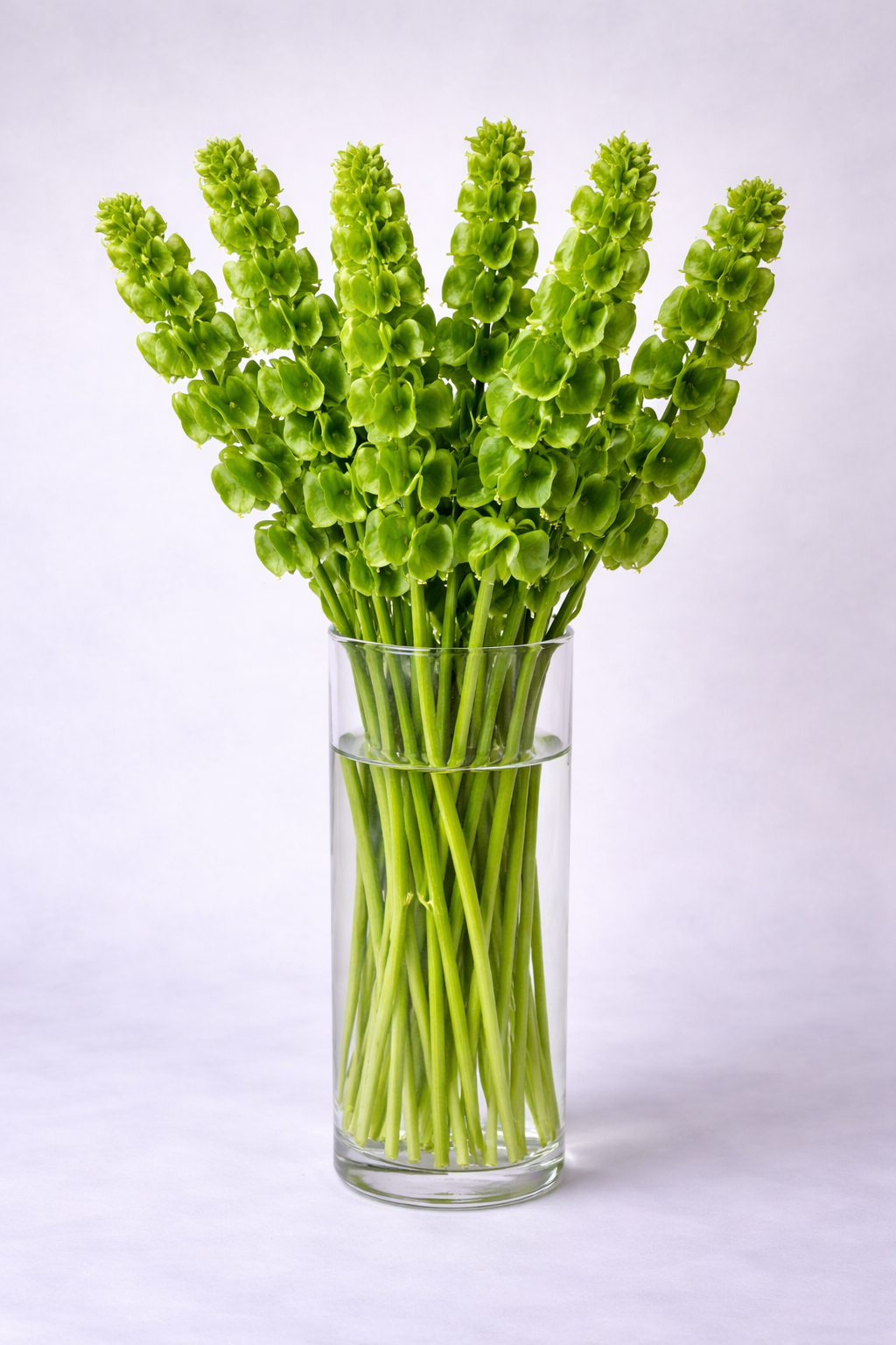 Make your Own Garden Touch Box