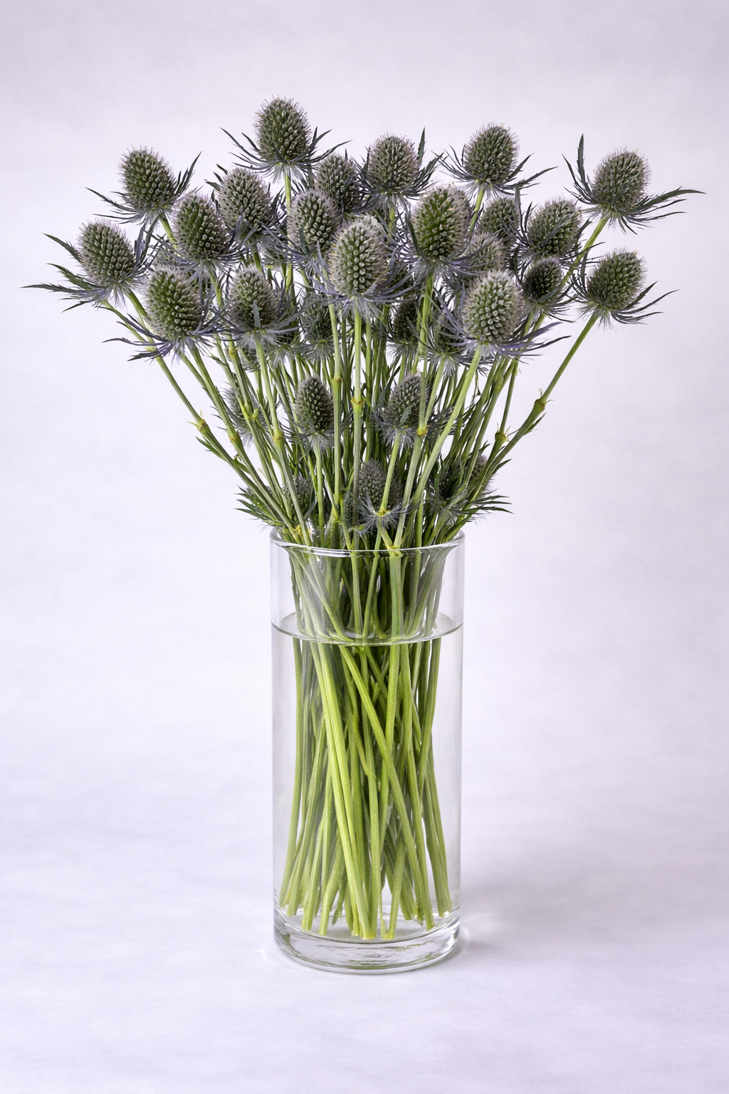 Make your Own Garden Touch Box