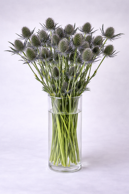 Make your Own Garden Touch Box