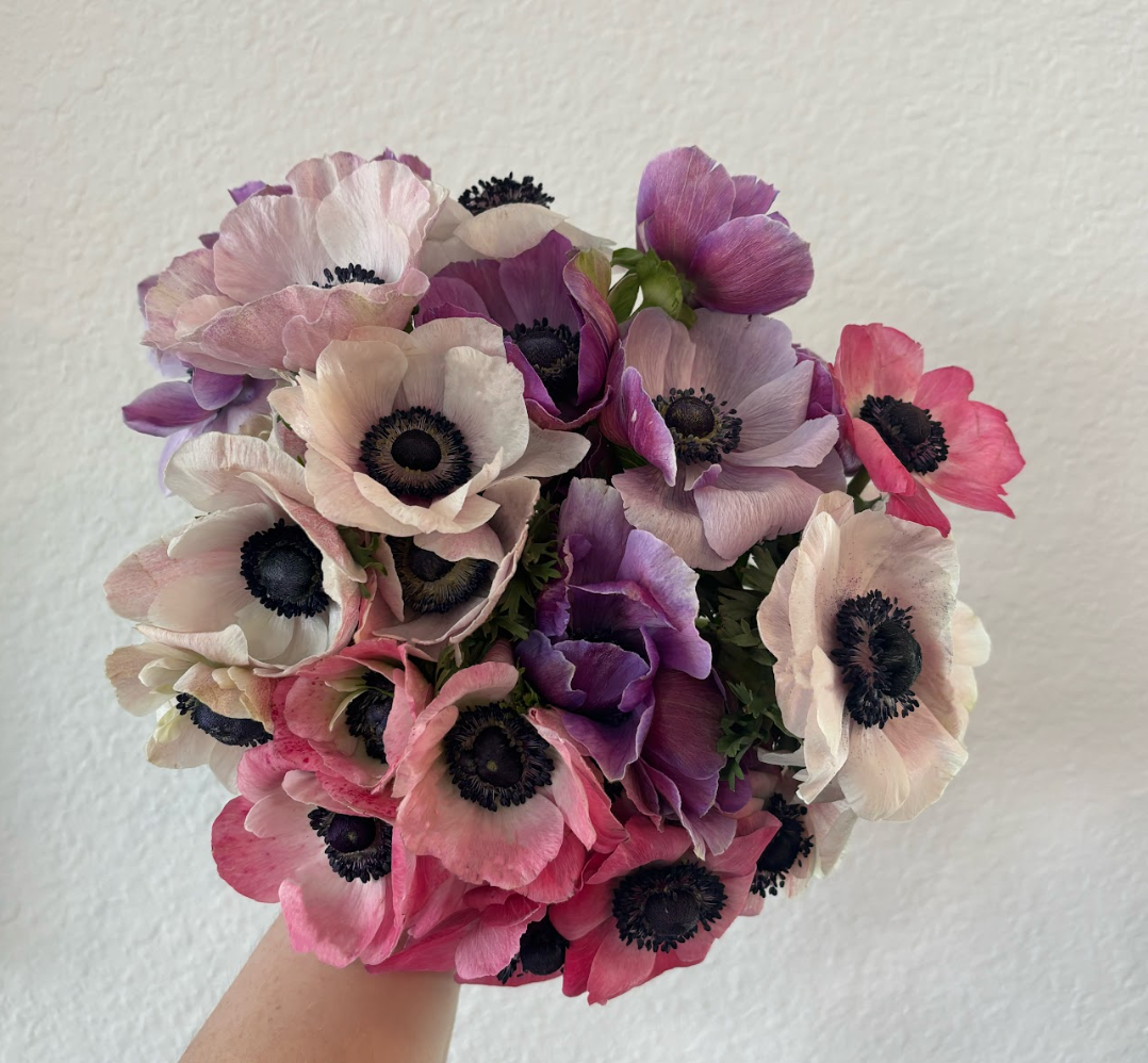 Make your Own Meadow Breeze Box