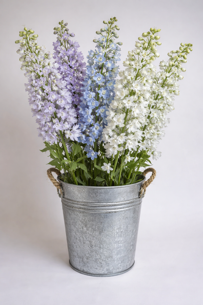 Make your Own Meadow Breeze Box