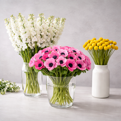 Make your Own Meadow Breeze Box