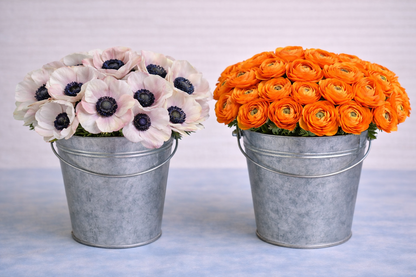 Make your Own Ranunculus and Anemone Box
