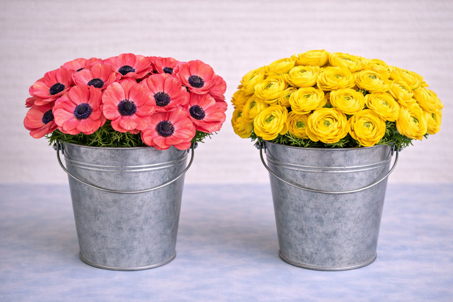 Make your Own Ranunculus and Anemone Box