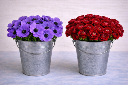 Make your Own Ranunculus and Anemone Box