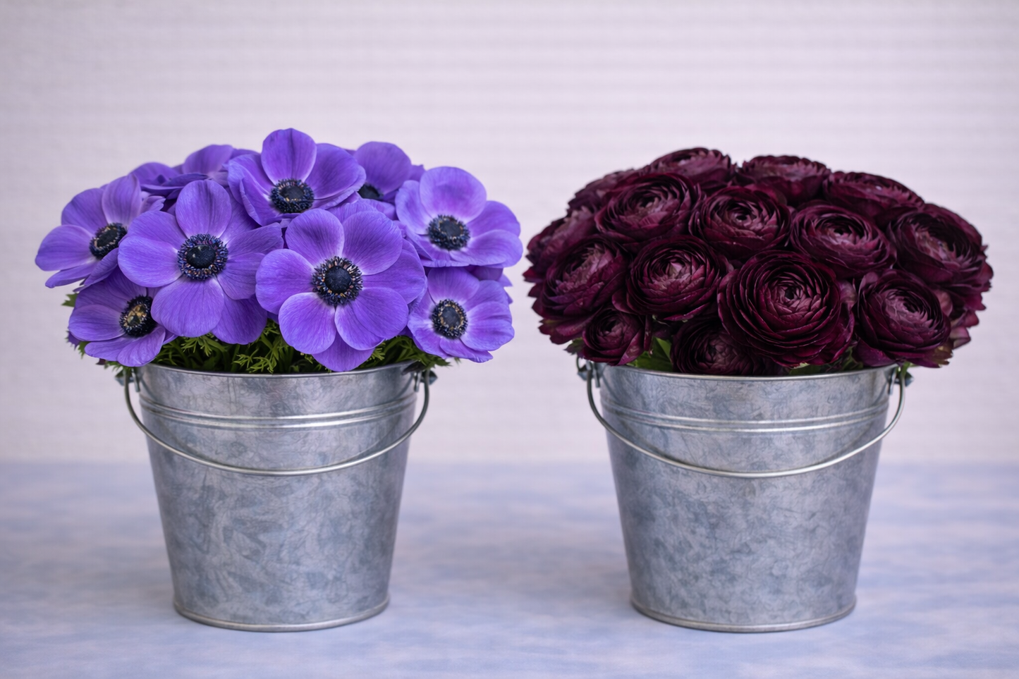 Make your Own Ranunculus and Anemone Box