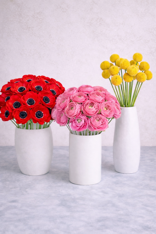 Make your Own Sunrise Mixed Box