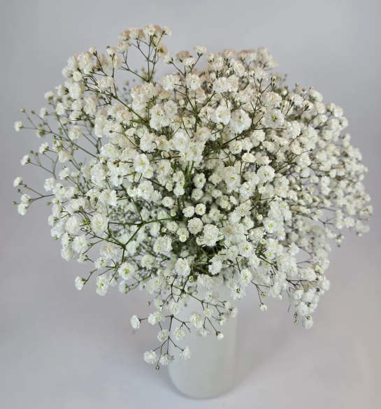 Make your own Wedding Combo box