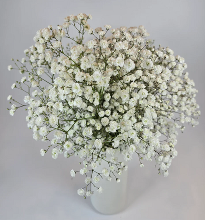 Make your own Wedding Combo box