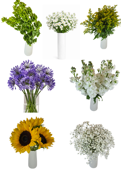 Make your Own Wildflower Combo Box