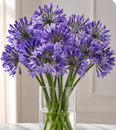 Make your Own Wildflower Combo Box