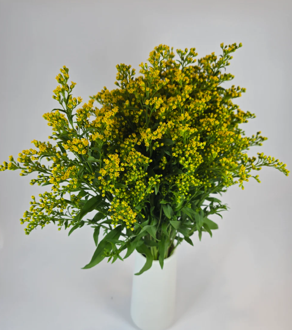 Make your Own Wildflower Combo Box
