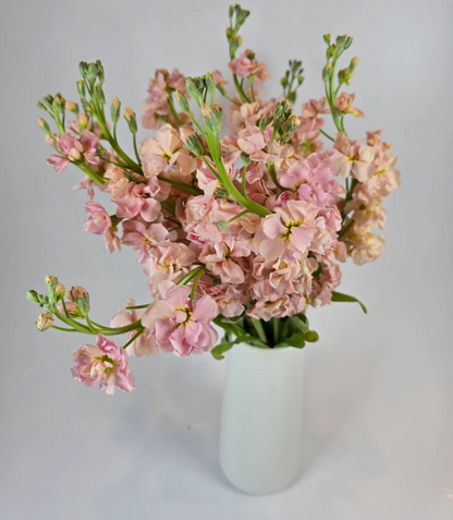 Make your Own Wildflower Combo Box