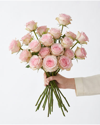Mandala Light Pink Rose
