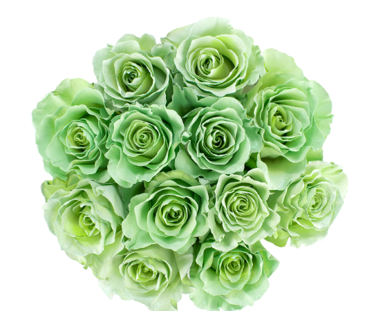 Matcha Five Roses Matcha Glitter Tinted Roses – The Flower Hype