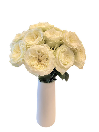 Mayra White Garden Roses