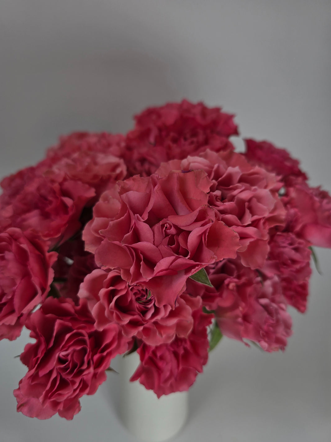 Spray Roses for Bouquets & Events | The Flower Hype